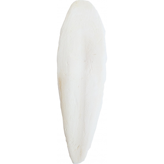 Apetit - Sépiová kost pravá 8-15cm - 11,5kg