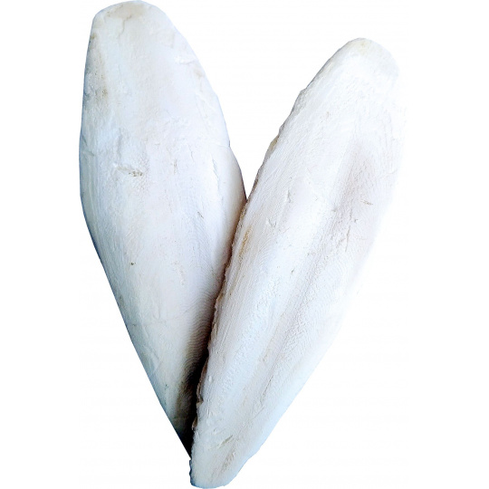 Apetit - Sépiová kost pravá 15-30cm - 11,5kg