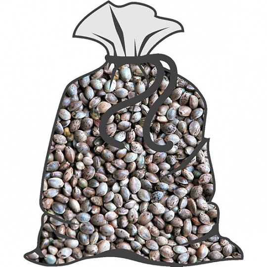 Semenec - semeno konopí (běžné balení 25kg)